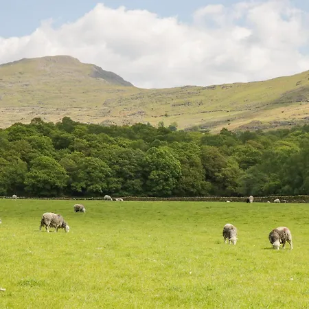 Nyaraló Holme Ground